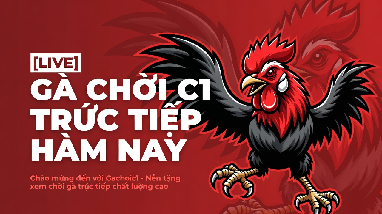 ưu đãi casino online Jun88