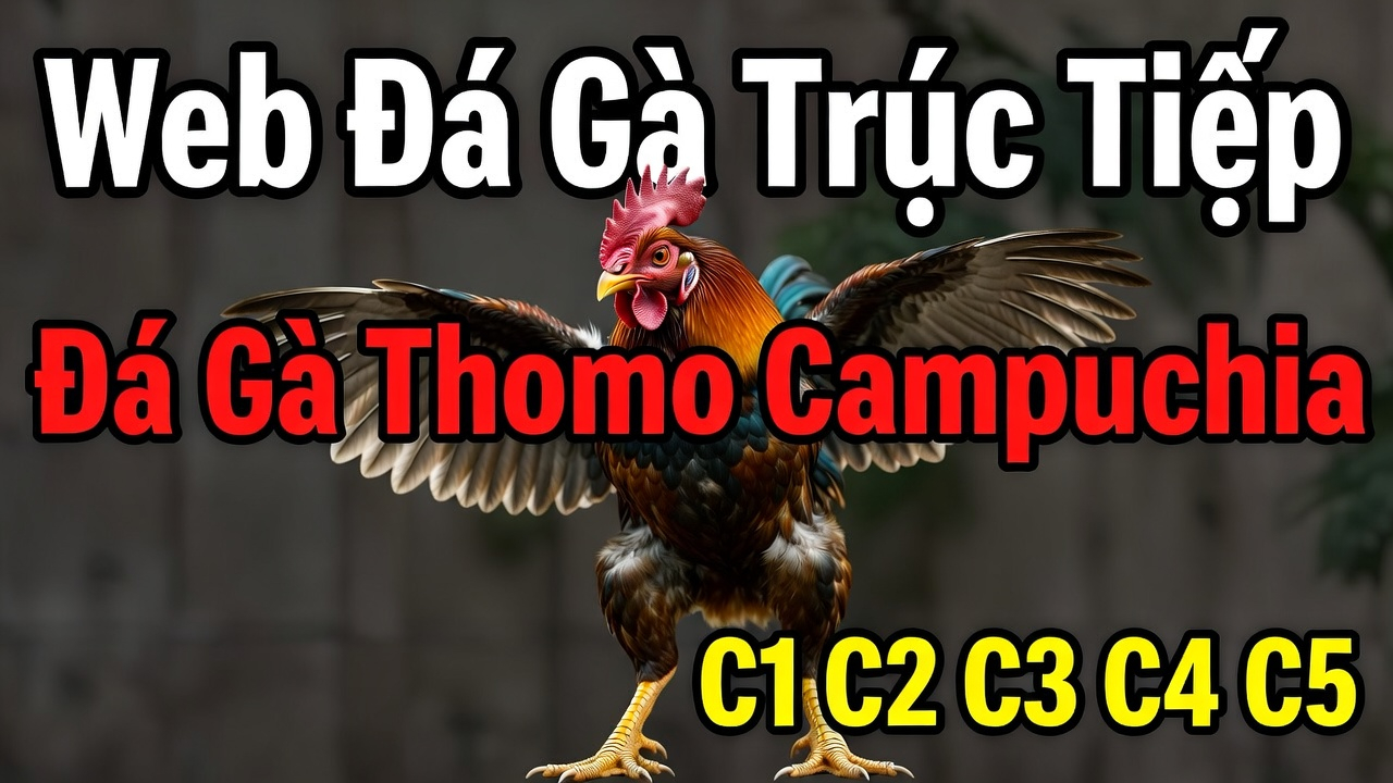 Khuyến mãi Jun88 - Ưu đãi hấp dẫn