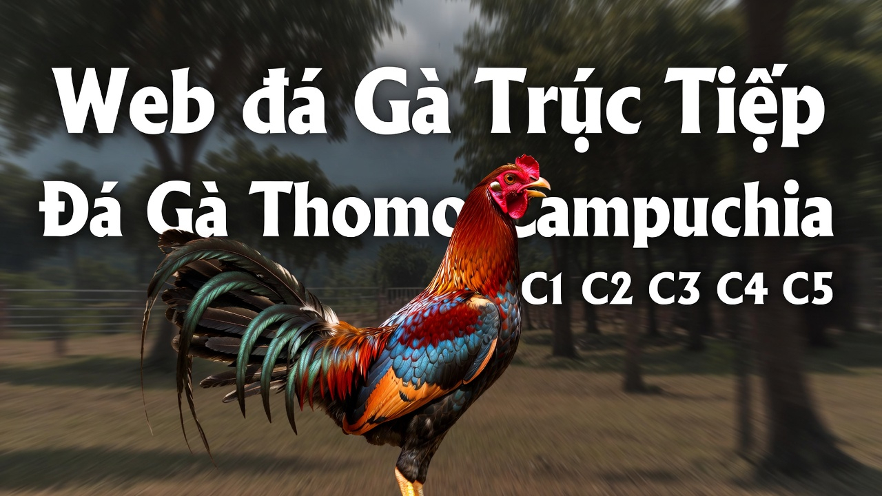 tính năng lô đề Jun88