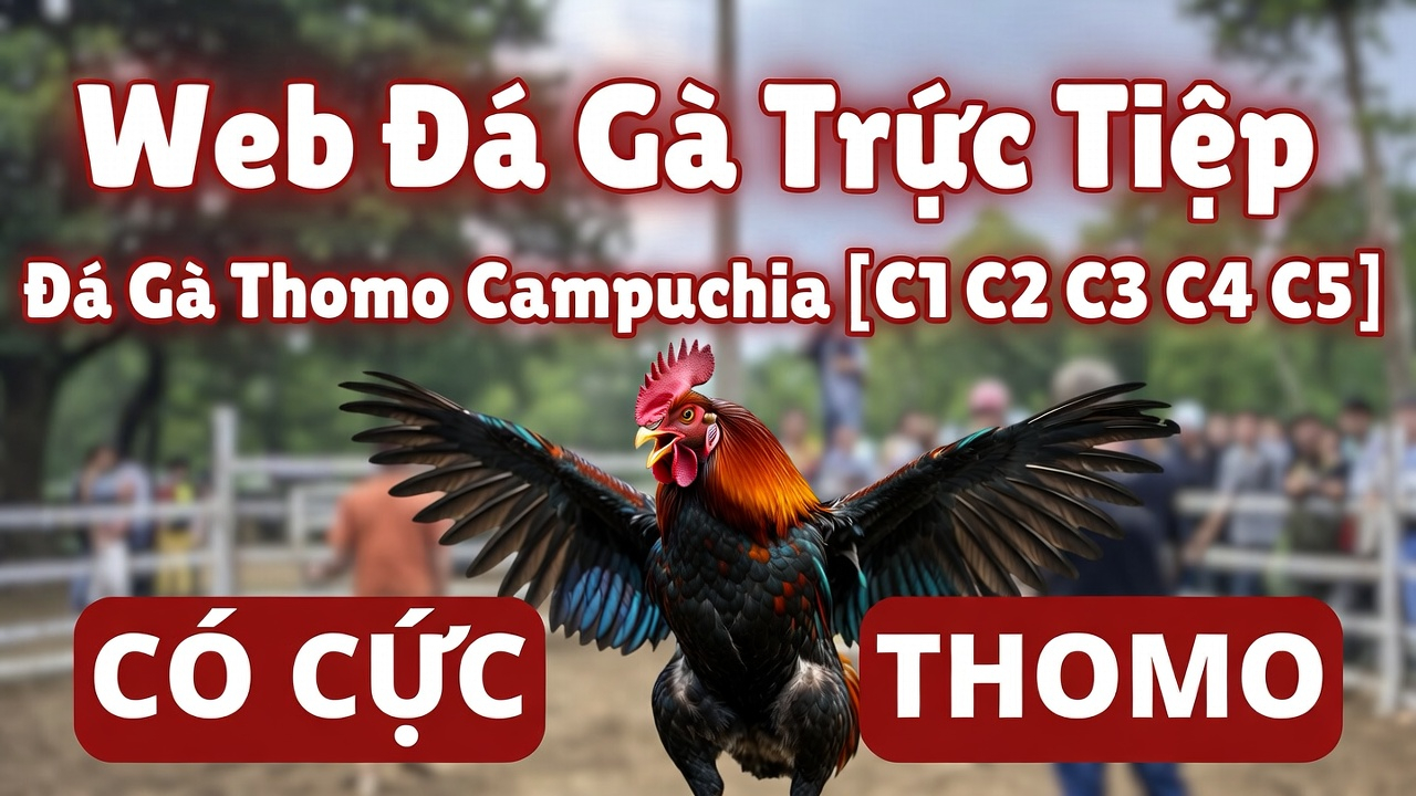 cách tham gia cược lô đề tại Jun88