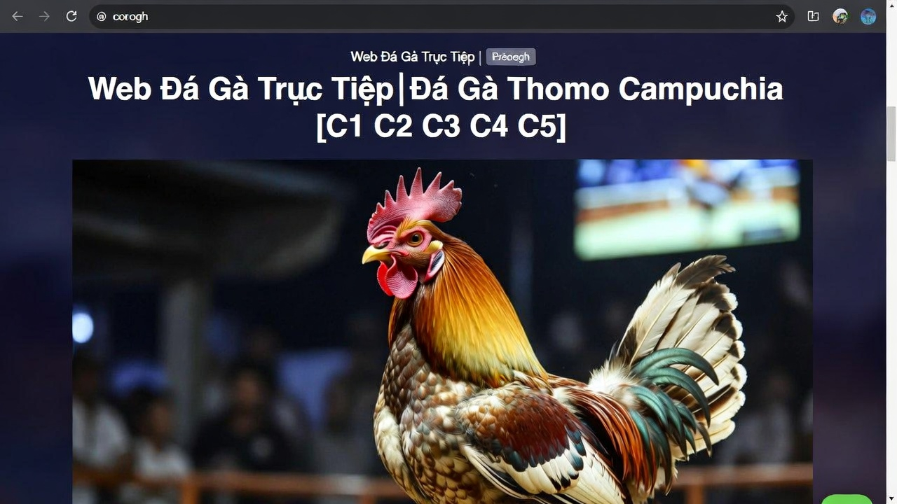 nổ hũ Jun88 jackpot